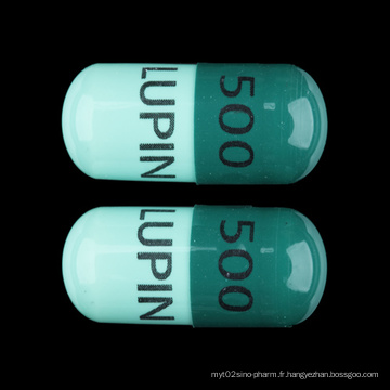 Capsule de 125mg / 250mg 500mg Cephalexin